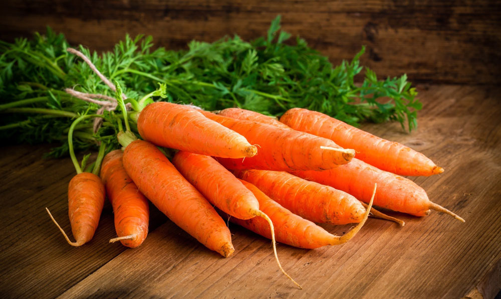 Морковь польза овоща